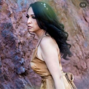 A. Calvin Flying Tomato Gold Satin like Dress size L